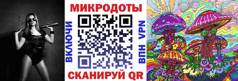 Купить закладки  Новоаннинский  Галлюциногенные грибы Psilocybe 